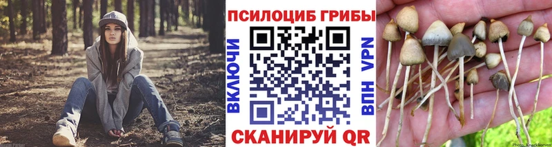 Псилоцибиновые грибы ЛСД  цены   Горно-Алтайск 